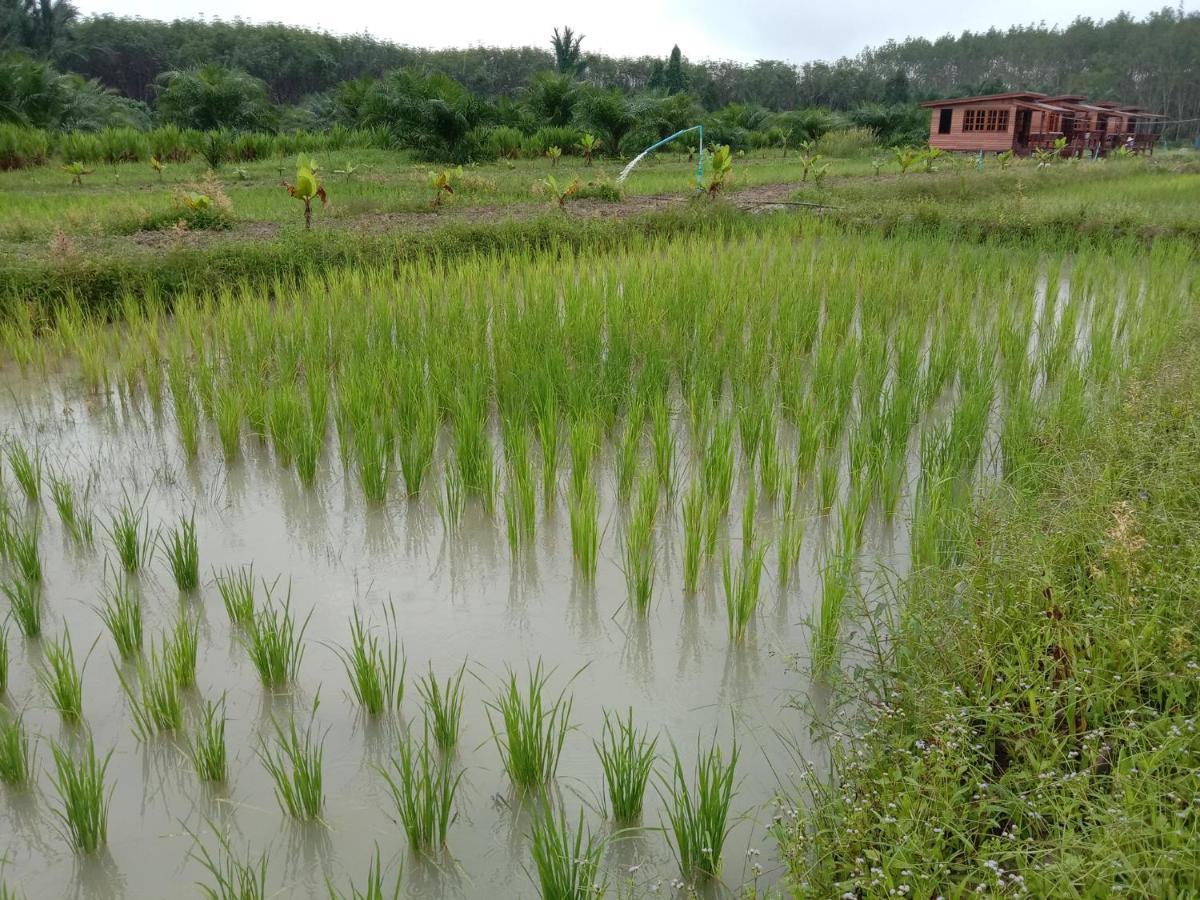 Raina Bualuang Cafe & Farm Stay Ban Na No Exterior photo