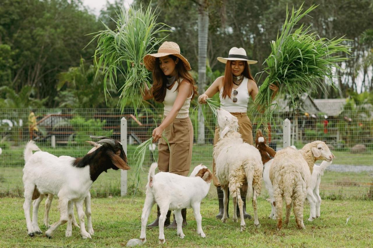 Raina Bualuang Cafe & Farm Stay Ban Na No Exterior photo
